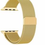 Apple Watch 42mm-44mm-45mm Magnetic Milanese Strap - Golden