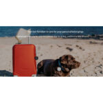 Imilab Kieslect Smart Tag Pack Of 3 - Black - Image 6