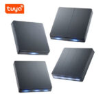 Smart Home Wall Switches with Colorful LED, Remote Control, Alexa & Tuya Smart Life | Smart Switches