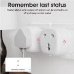 Heavy Duty 3 Pin Smart Plug 16A with Power Monitoring, Child Lock, WiFi Smart Socket for AC, Water Motor & Pressure Pump | Tuya Smart Life App | Works with Alexa & Google Home - Image 4