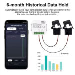 Wifi Smart Life Tuya Dual Channel Smart Meter Power Consumption Monitor Max 80A Energy Meter 100V-240V 50/60Hz | Wifi Switch | Wifi Switches - Image 6